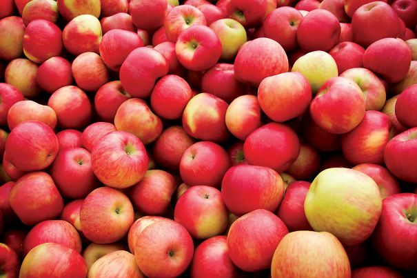21 Appetizing Delights You Can Make With Apples This Autumn 21 Appetizing Delights You Can Make With Apples This Autumn