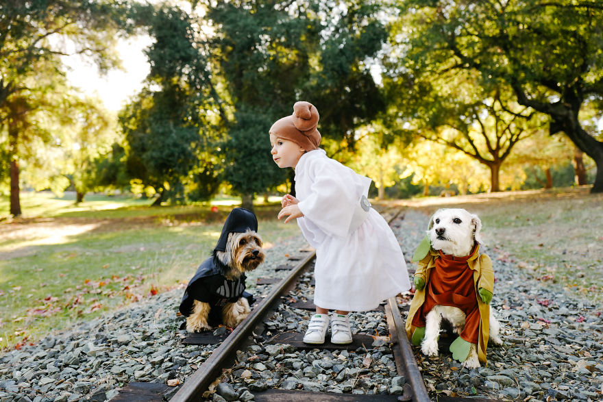 How A Photoshoot With A Toddler And Two Dogs Looks Like...