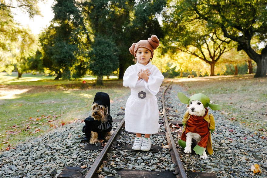 How A Photoshoot With A Toddler And Two Dogs Looks Like...
