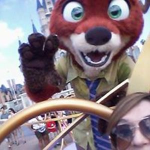 sunflowers4000lilly avatar