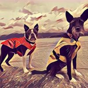 libertybenedict avatar