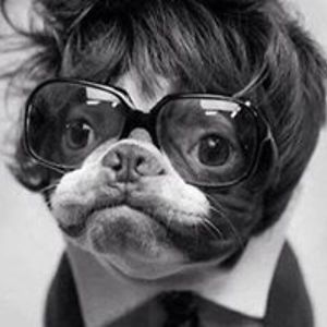 scottgoodwin75 avatar