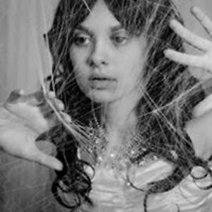 christina_steiness_8 avatar