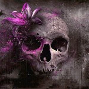 empresstigerlily avatar