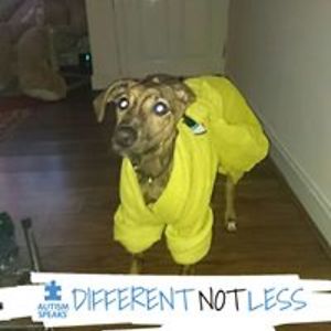 ashleigh_charlton_90 avatar