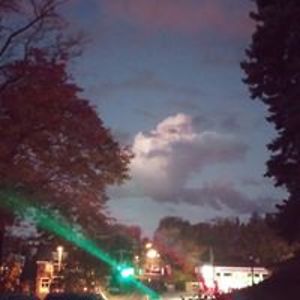 zippedupzebra avatar