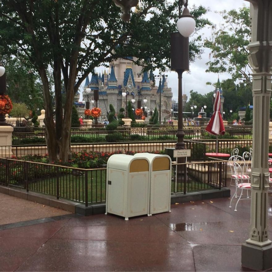 Disney World Park Closed For The 5th In History