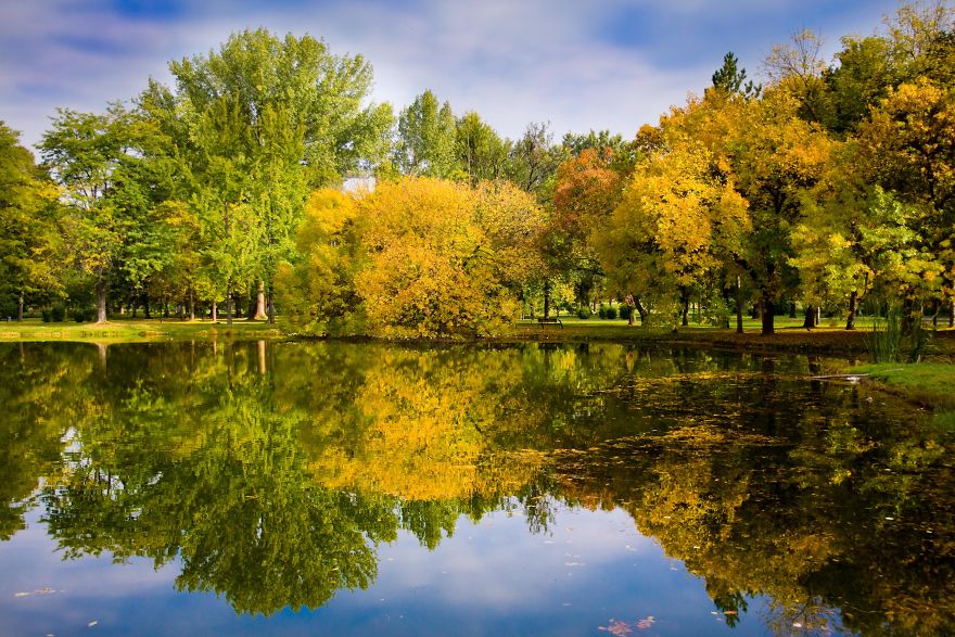 Autumn In The City Park In Macedonia