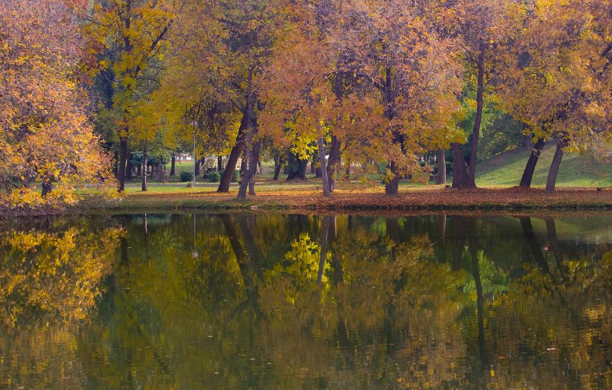 Autumn In The City Park In Macedonia