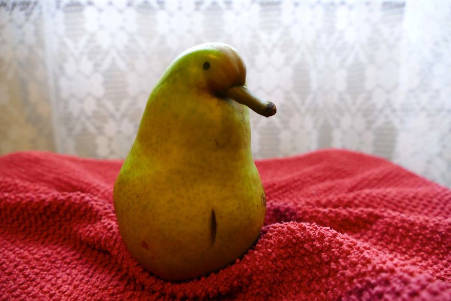 A Little Birdie Pear