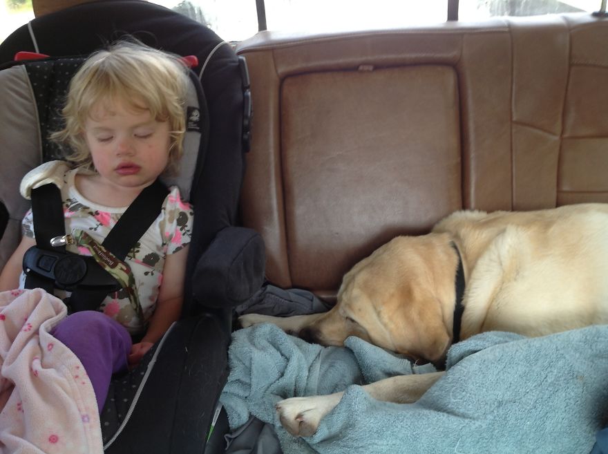 The Love Between A Child And Her Dog Is Immeasurable.