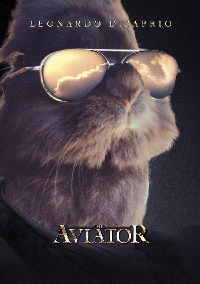 Th Aviator Bunny
