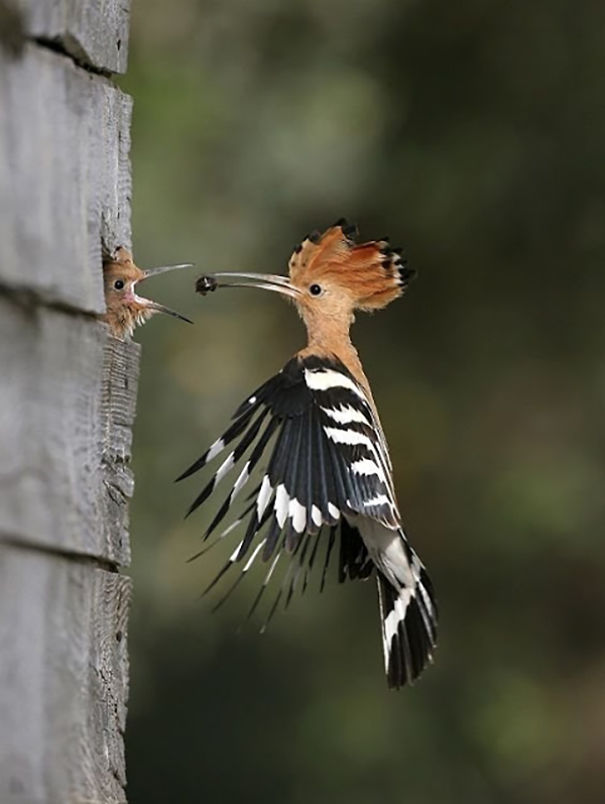 Award Winning Photos