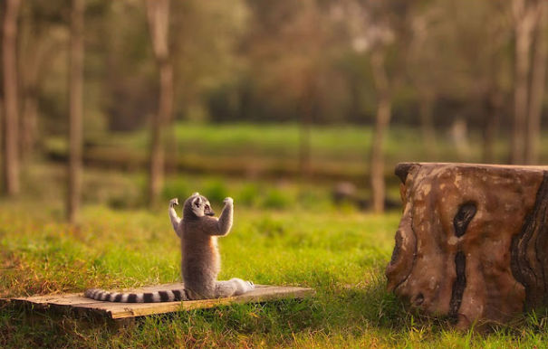 Award Winning Photos