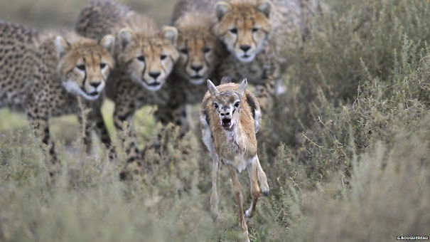 Award Winning Photos