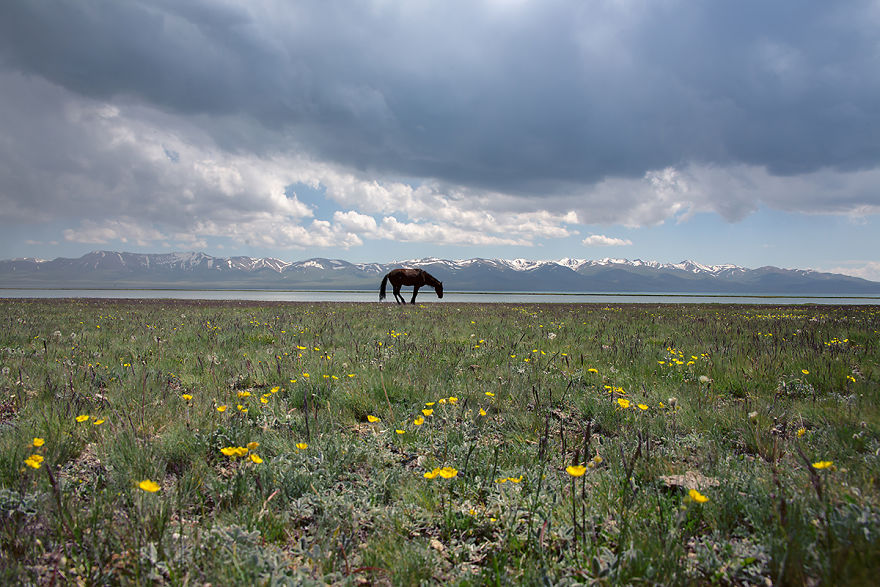 Peacefulness And Harmony At The Song-Köl Lake, Kyrgyzstan