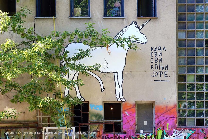 Street Art Belgrade - Face The Wall Street Art Belgrade - Face The Wall