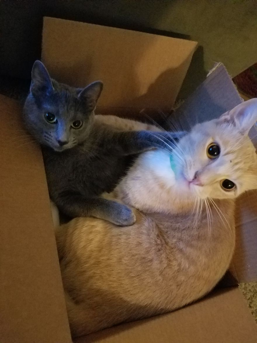 Charles And Brucee