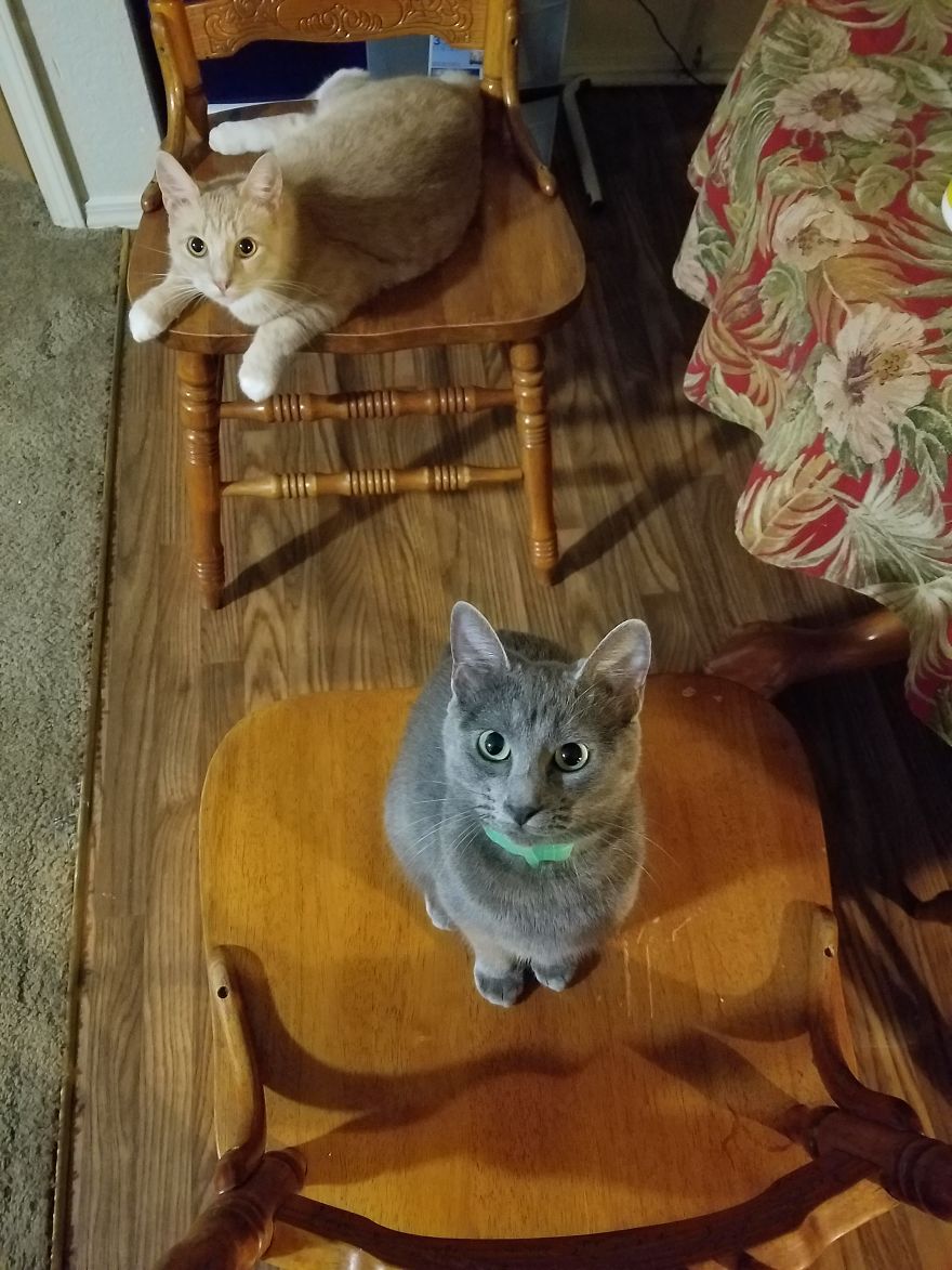 Charles And Brucee