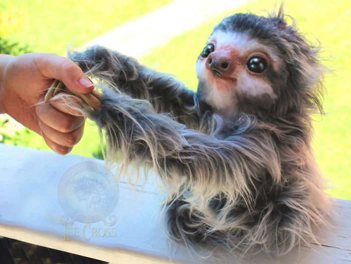 Poseable Baby Sloth
