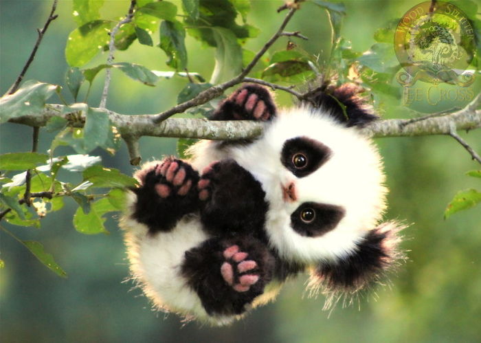 Poseable Baby Panda