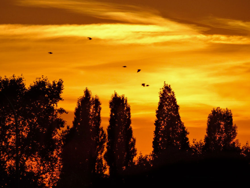 Enchanting Evening