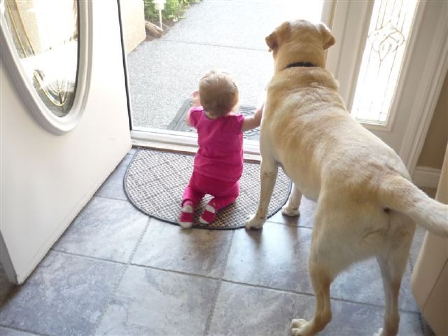 The Love Between A Child And Her Dog Is Immeasurable.
