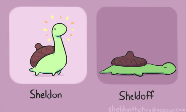 I Did Not Create Sheldon But I Love Him