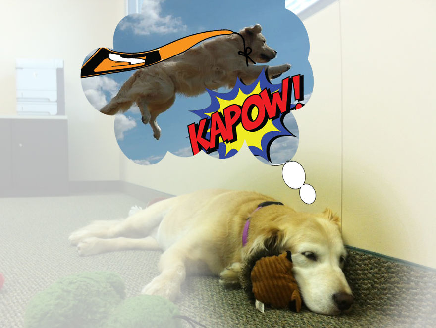 I Wonder What Our Office Mascot Is Dreaming?