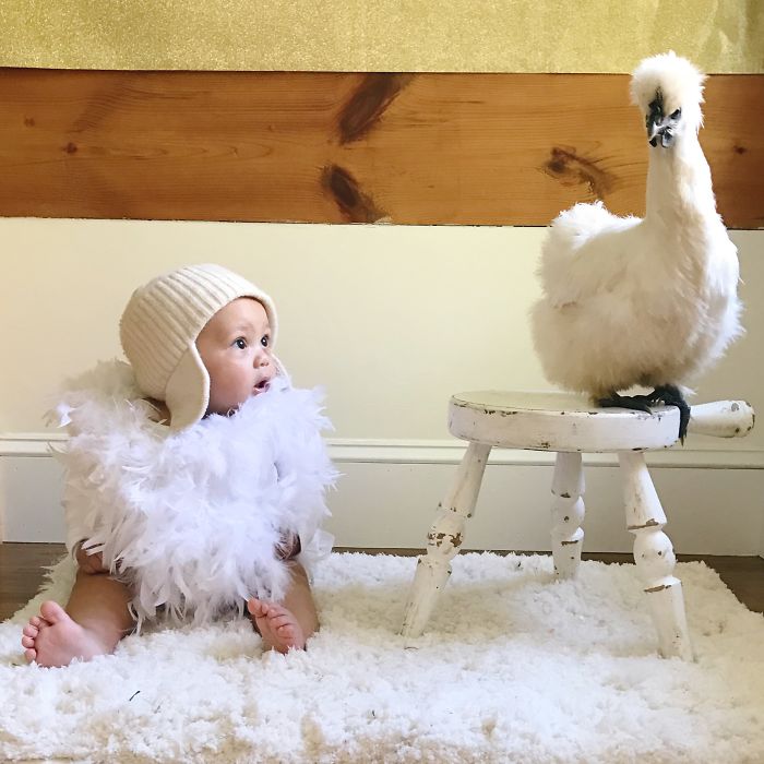 Sweet Fluff Dress Up, Halloween Costumes Of Kids With Their Pets