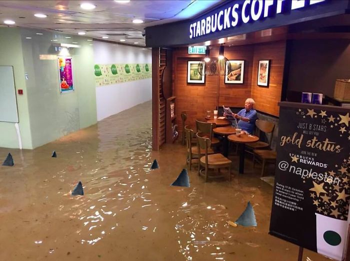 Starbucks Flood, Sharks In The Hall.