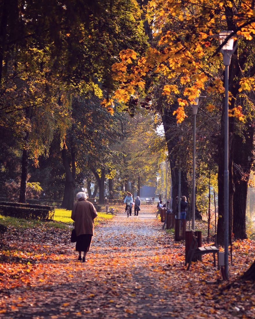 I Enjoy Taking Long Walks In My City, Timișoara, To Capture Its Beauty