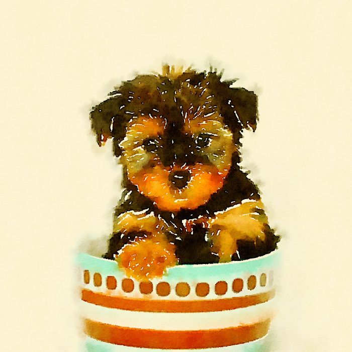 I Paint Watercolor Paintings Of Puppies In Cups