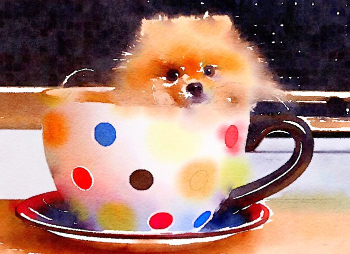 I Paint Watercolor Paintings Of Puppies In Cups