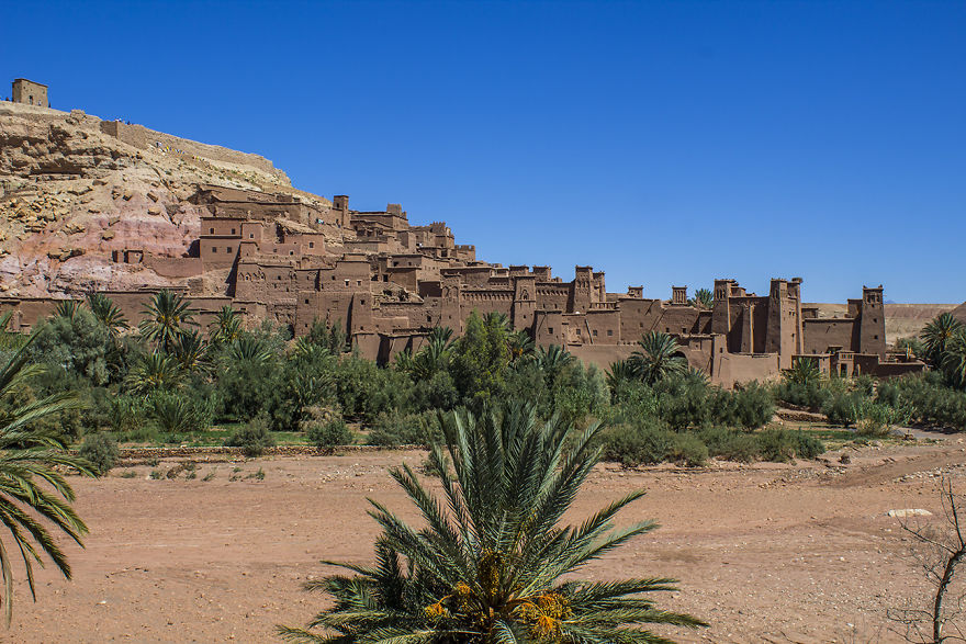 Camels Into The Sahara To Fall Asleep Under The Stars