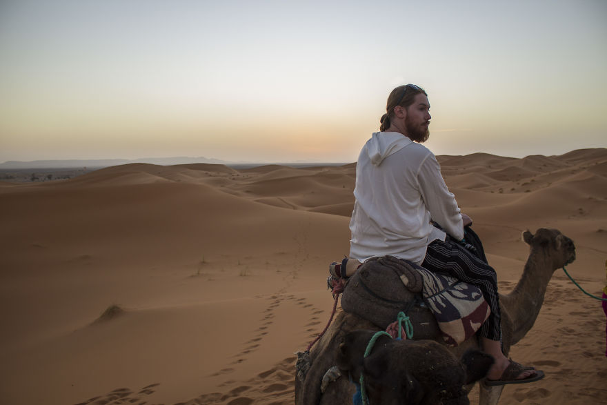 Camels Into The Sahara To Fall Asleep Under The Stars