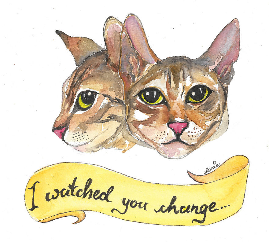Bangladeshi Artist Draws Pet Animals In Exchange For Donations Which Go To Local Animal Shelters And Clinics