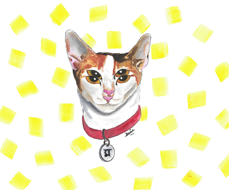 Bangladeshi Artist Draws Pet Animals In Exchange For Donations Which Go To Local Animal Shelters And Clinics