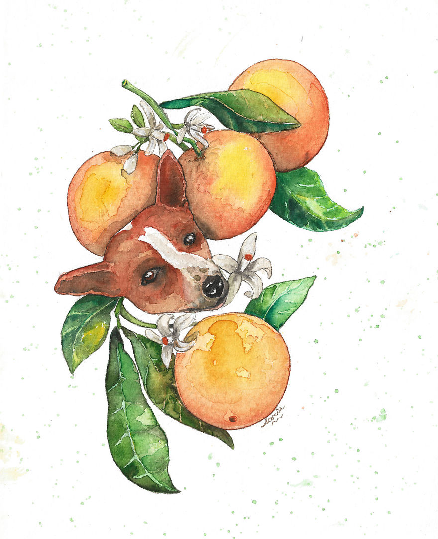 Bangladeshi Artist Draws Pet Animals In Exchange For Donations Which Go To Local Animal Shelters And Clinics