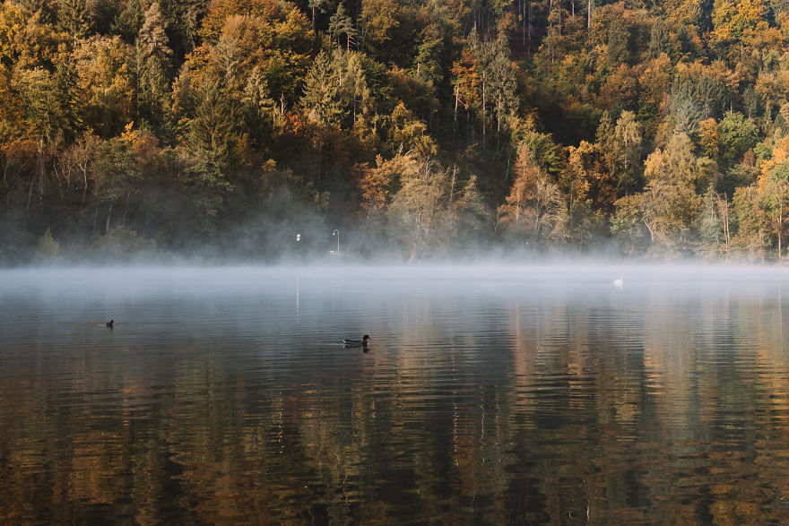 Spectacular Autumn At Lake Bled, Slovenia