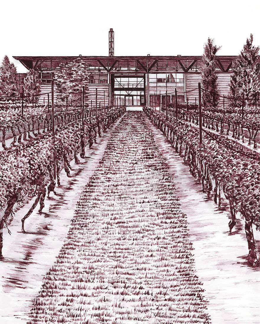 Jackson-triggs Niagara Estate. Wine: Jackson-triggs Proprietors' Selection Shiraz
