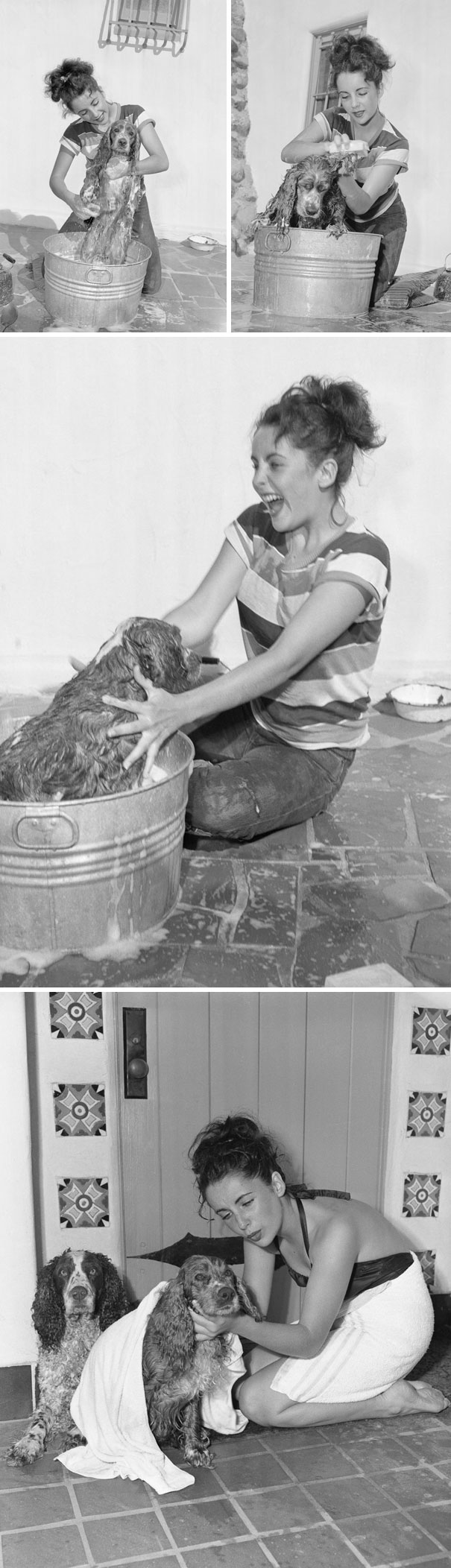 17-Year-Old Elizabeth Taylor Giving A Bath To Her Cocker Spaniel Amy In 1949