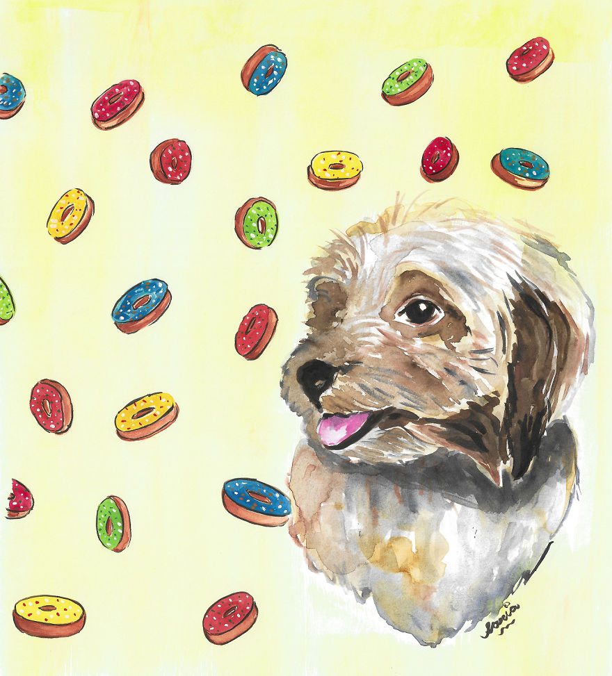 Bangladeshi Artist Draws Pet Animals In Exchange For Donations Which Go To Local Animal Shelters And Clinics
