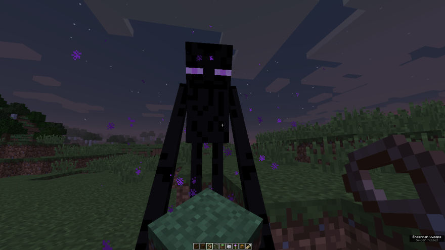 Minecraft Images That Show A Laid Back Beautiful Series