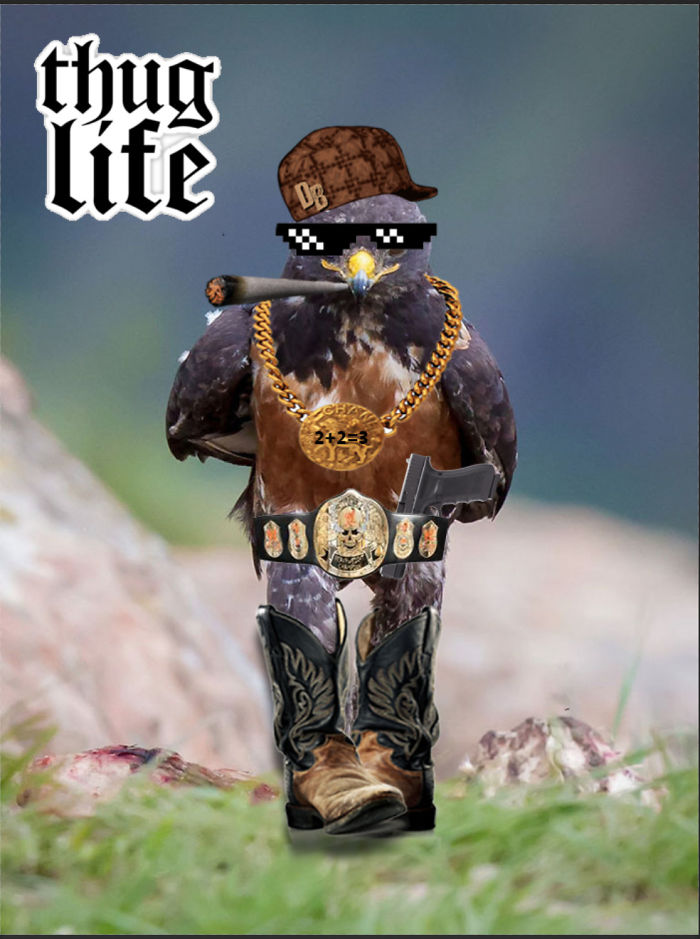 Thug Life Hawk