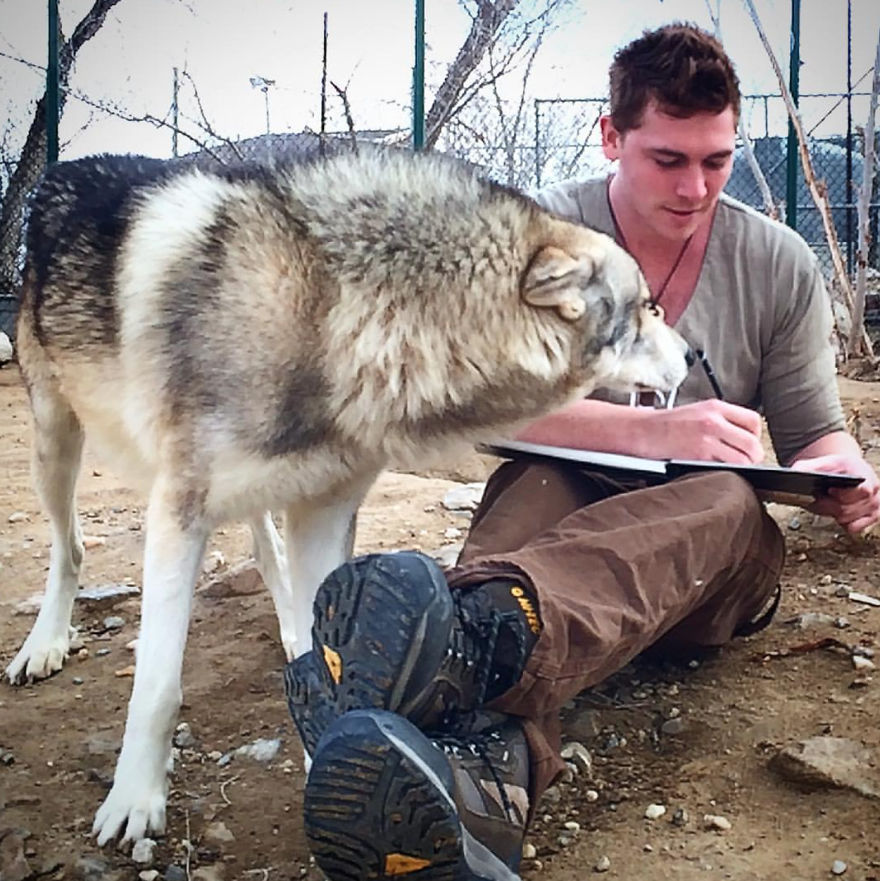 Wolf Mountain Sanctuary Inspired My First Fully Illustrated Children's Book