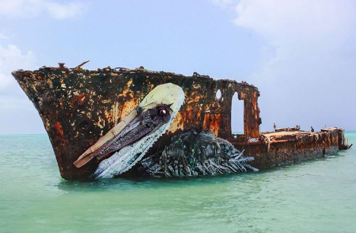 Portuguese Street Artist Makes Animal Art From Trash To Remind Humans About Pollution