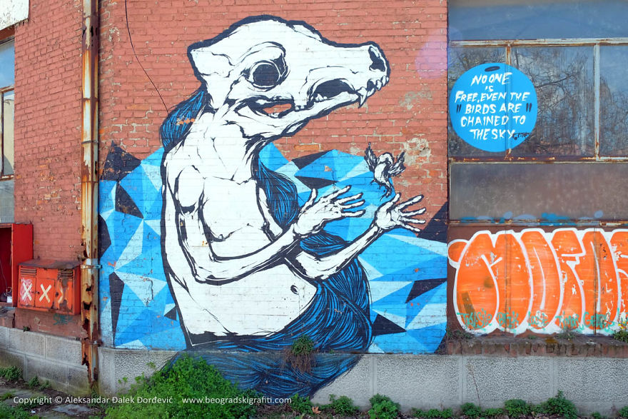 Street Art Belgrade - Face The Wall Street Art Belgrade - Face The Wall