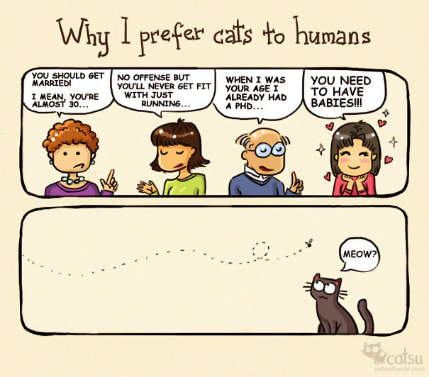 101 Comics That Purrfectly Capture Life With Cats | Bored Panda