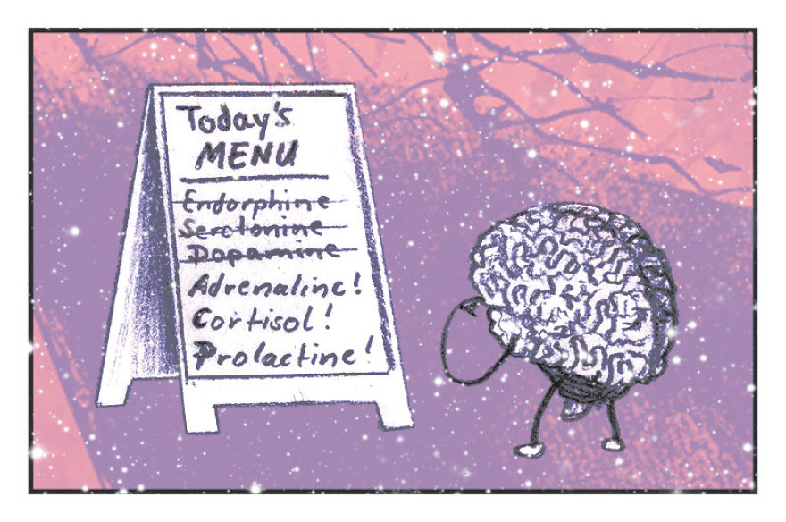 Hey, Little One! Web Comics